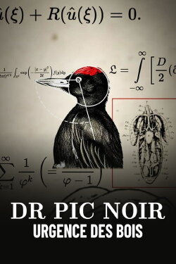 Dr Pic Noir, urgence des bois (2023) Dr Pic Noir, urgence des bois (2023)