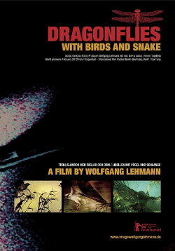 Dragonflies with Birds and Snake (2012) Dragonflies with Birds and Snake (2012)