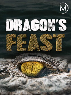 Dragon's Feast 3D (2013) Dragon's Feast 3D (2013)