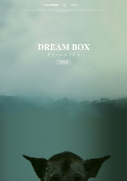 Dream Box (2017) Dream Box (2017)
