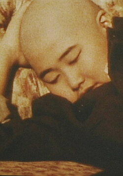 Dreamflower (1990)