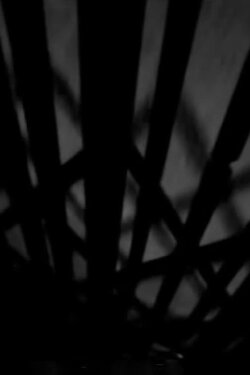Dreams In Digital Or What They Teach You At Film School (2011) Dreams In Digital Or What They Teach You At Film School (2011)