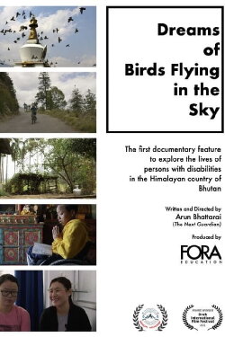 Dreams of Birds Flying in the Sky (2020) Dreams of Birds Flying in the Sky (2020)