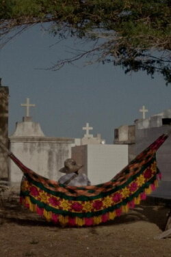 Dreams Travel With the Wind (2024) Dreams Travel With the Wind (2024)