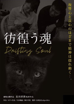 Drifting Soul (2022)