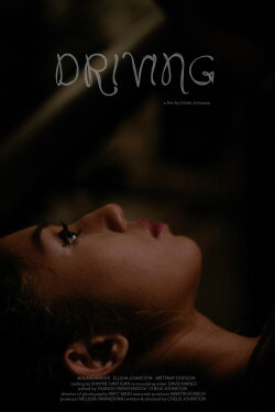 Driving (2019)