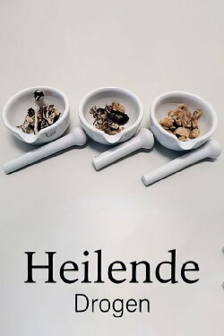 Drugs that Heal: Could Psychedelics Treat Depression? (2022)