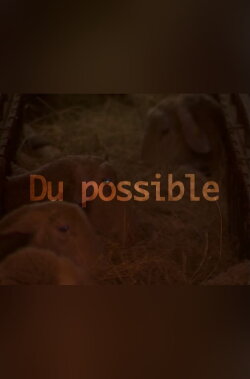 Du possible (2006)