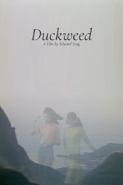 Duckweed (1981)