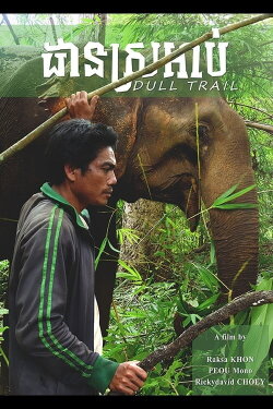Dull Trail (2020)