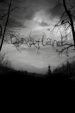 Dunderland (2012) Dunderland (2012)