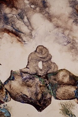 Duo (1975)