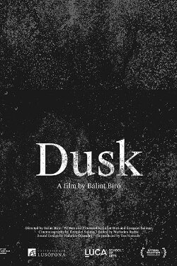 Dusk (2020) Dusk (2020)