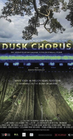 Dusk Chorus (2017)