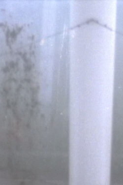 Dust (2008)