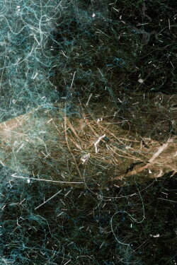 Dust Poetry (2014) Dust Poetry (2014)