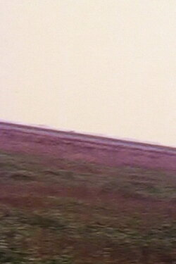 Dutch Mountain (1971)