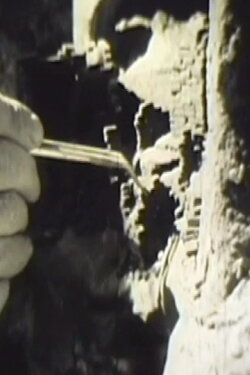 Dwellings (1972)