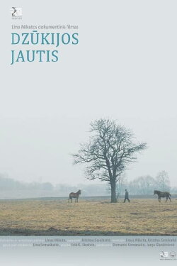 Dzukija’s Bull (2013) Dzukija’s Bull (2013)