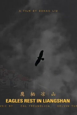 Eagles Rest in Liangshan (2021) Eagles Rest in Liangshan (2021)