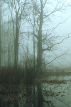 Early Spring Wetlands (2023) Early Spring Wetlands (2023)