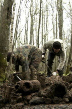 Earth (2012) Earth (2012)