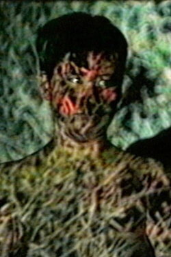 Earth Flesh (1997)
