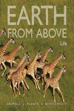 Earth From Above: Life (2004) Earth From Above: Life (2004)
