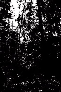 Earth Prayer - Khu.éex (2021) Earth Prayer - Khu.éex (2021)