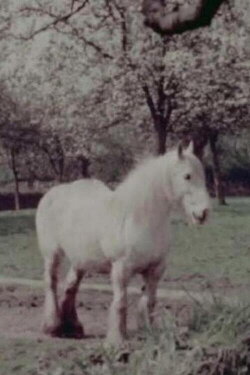 East of the Malverns (1957) East of the Malverns (1957)