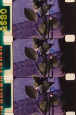 Easter Blues (1996) Easter Blues (1996)