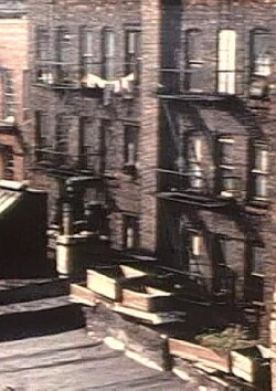 Eastside Summer (1953) Eastside Summer (1953)