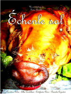 Échenle Sal (2009) Échenle Sal (2009)