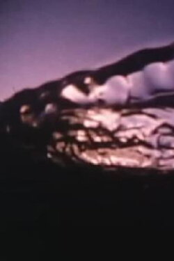 Echoes (1973) Echoes (1973)