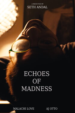 Echoes of Madness (2024) Echoes of Madness (2024)