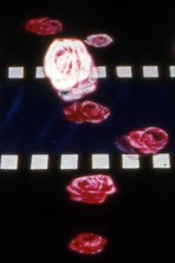 Eclipse Predictions (1982)