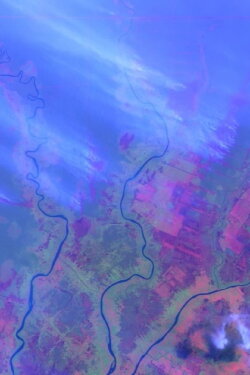 Ecocide in Indonesia (2017)