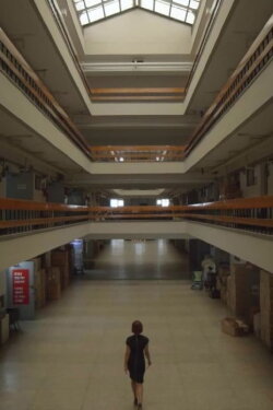 Ecology in Concrete (2017) Ecology in Concrete (2017)