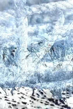 Ecosystem 15 ~ Lunar Libration (2006)