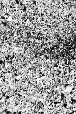 Ecosystem 26 ~ Vibrating Sand (2018)