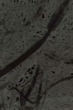 Ecosystem 6 ~ A Sort of Mycelium (1989) Ecosystem 6 ~ A Sort of Mycelium (1989)