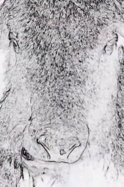 Écriture (2019)