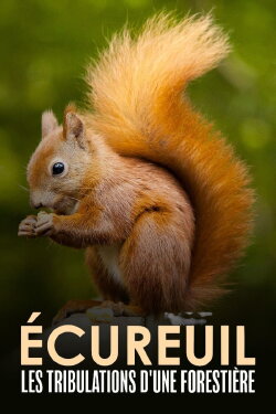 Écureuil : Les Tribulations d'une forestière (2022) Écureuil : Les Tribulations d'une forestière (2022)