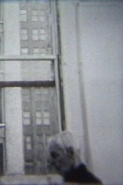 Edwin Denby (1978)
