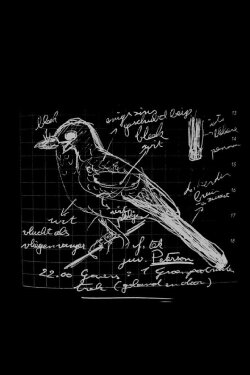 Een vogel met jouw naam (2022) Een vogel met jouw naam (2022)