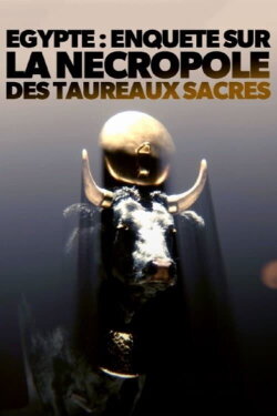 Égypte - Enquête sur la nécropole des taureaux sacrés (2023)