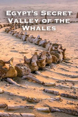 Egypt's Secret Valley of the Whales (2023) Egypt's Secret Valley of the Whales (2023)