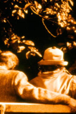 Ein halbes Leben (1983) Ein halbes Leben (1983)
