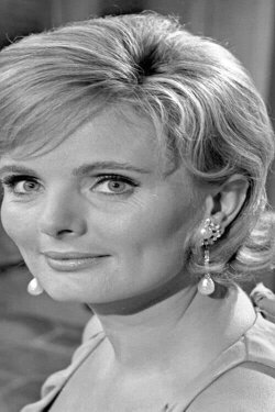 Ein idealer Gatte (1966) Ein idealer Gatte (1966)