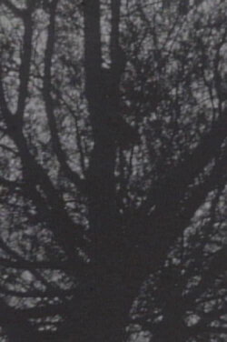 Einfühlung (2006) Einfühlung (2006)